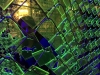 13055356_10100840887616278_9097885303579631956_n (1)