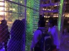 13055515_10100840887626258_8537176072693641291_n