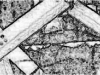 picture4